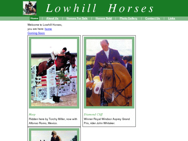 www.lowhillhorses.com