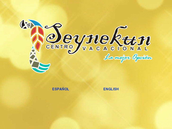 www.seynekun.com