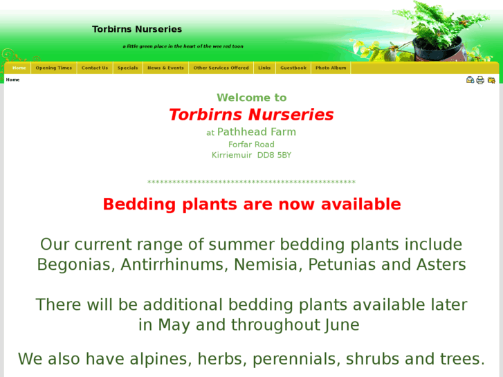 www.torbirns.com