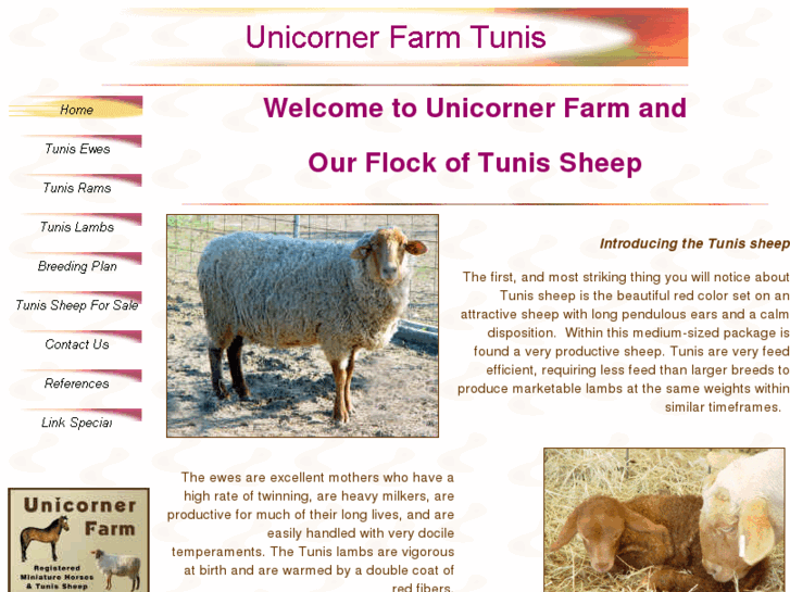 www.tunis-sheep.com