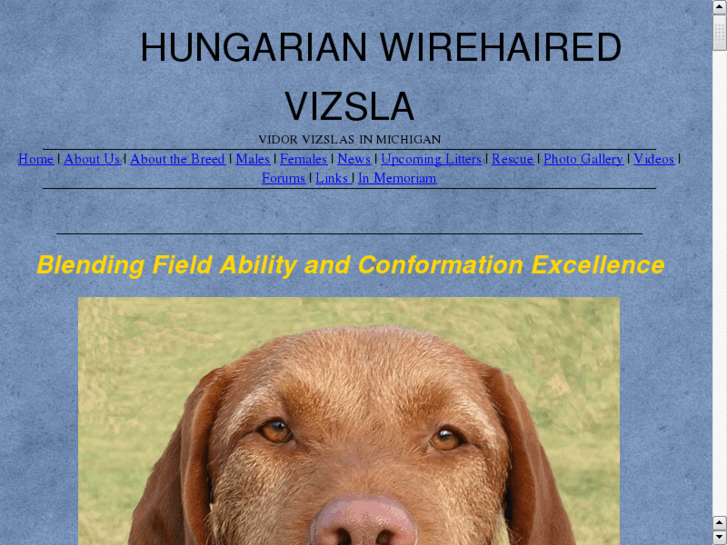 www.wirehairedvizslas.com