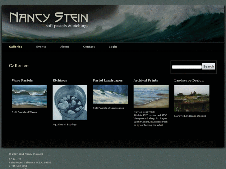 www.nancysteinart.com