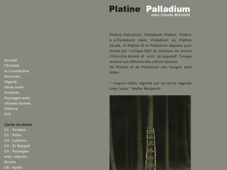 www.platine-palladium.com