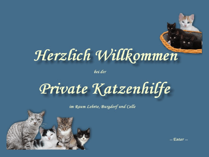 www.private-katzenhilfe.com