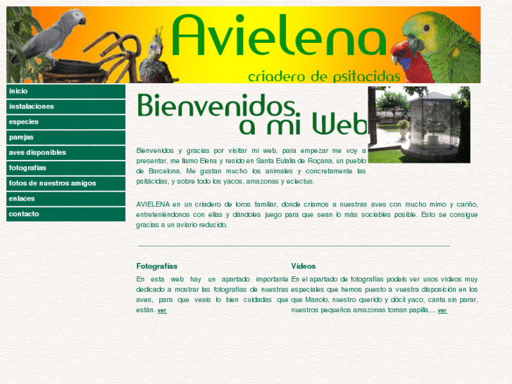 www.avielena.com