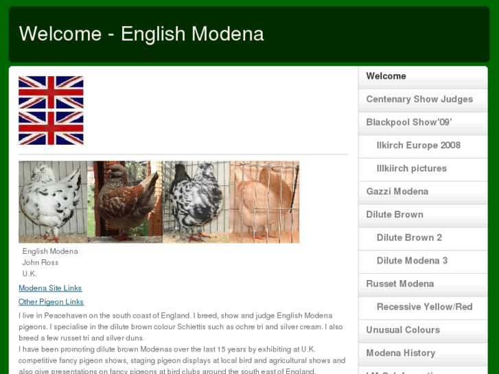 www.englishmodena.com