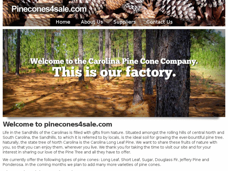 www.pinecones4sale.com