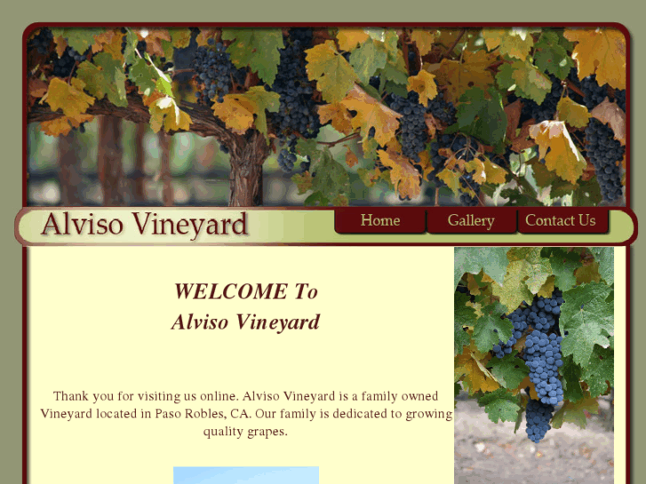 www.alvisovineyard.com