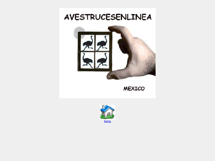 www.avestrucesenlinea.com