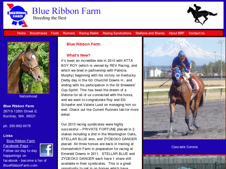 www.blueribbonfarm.com