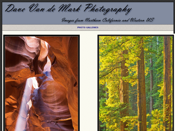 www.davevandemark.com