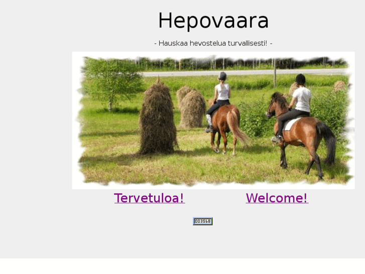 www.hepovaara.com