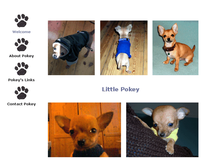 www.littlepokey.com