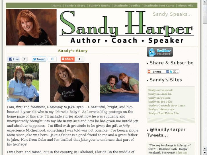 www.sandyharper.net