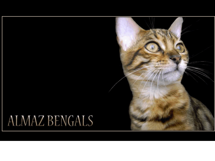 www.almazbengals.com