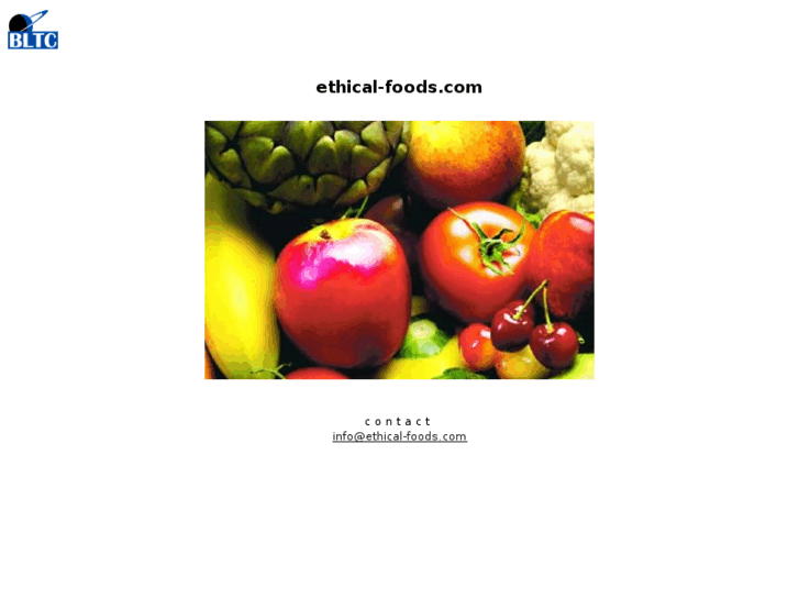 www.ethical-foods.com