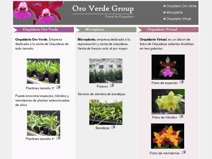 www.oroverdegroup.com