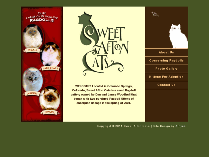 www.sweetaftoncats.com