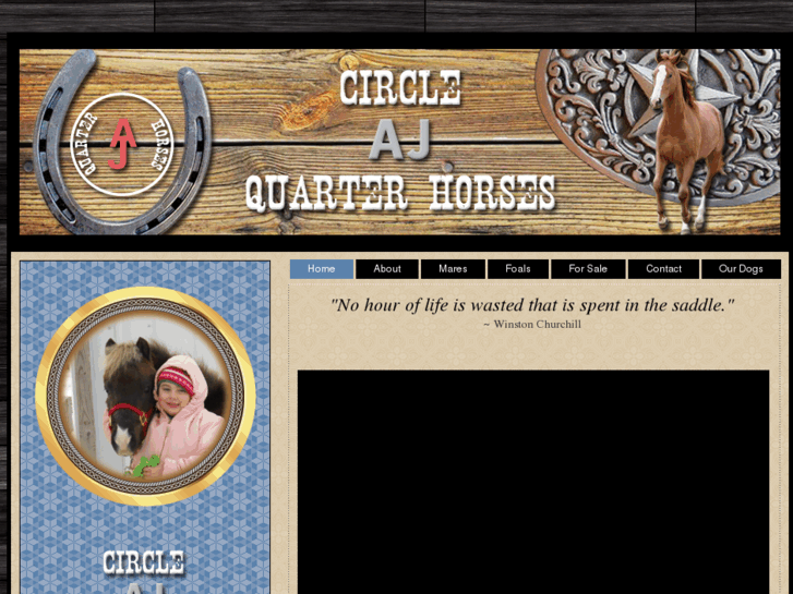 www.circleajquarterhorses.com