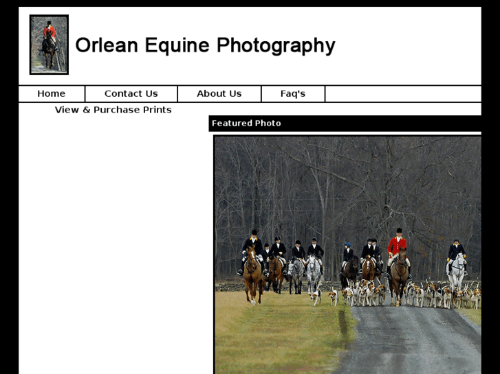 www.orleanequinephotography.com