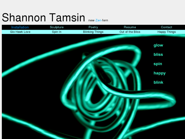 www.shannontamsin.com