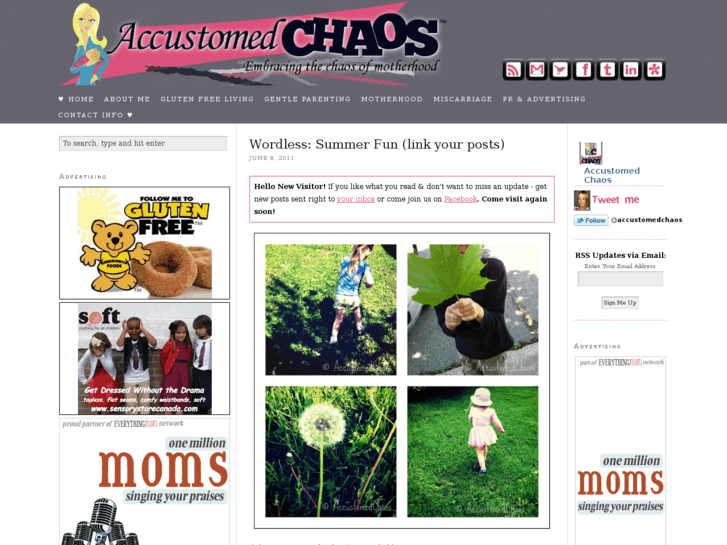 www.accustomedchaos.com