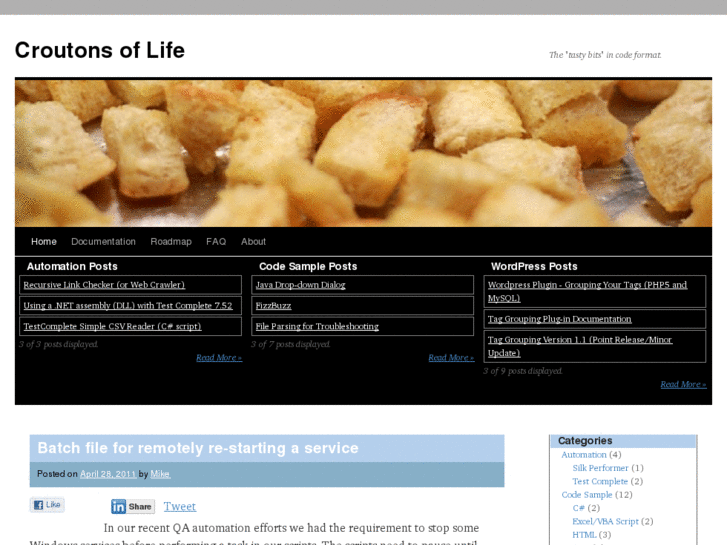 www.croutonsoflife.com