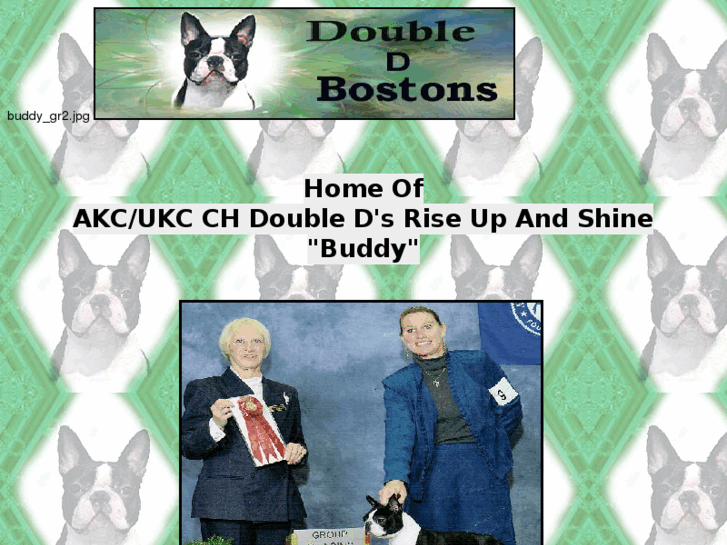 www.ddbostons.com