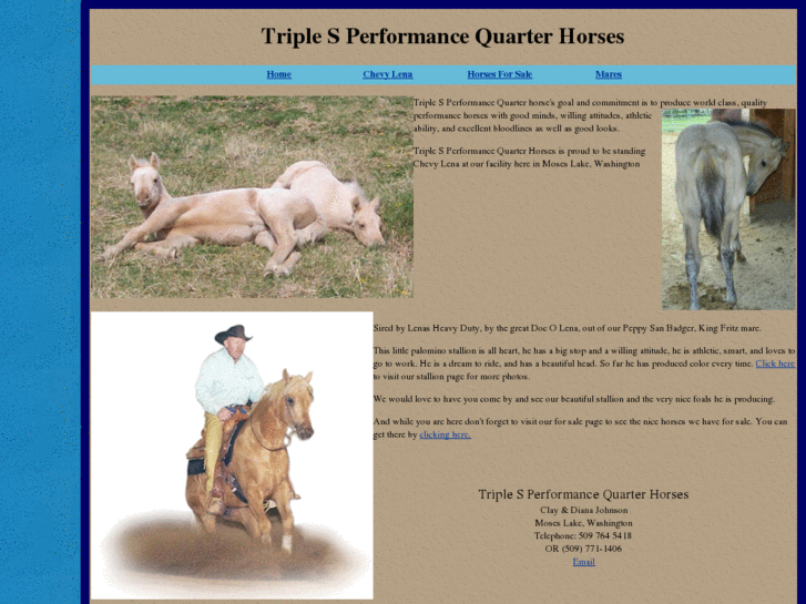 www.triplesperformancehorses.com