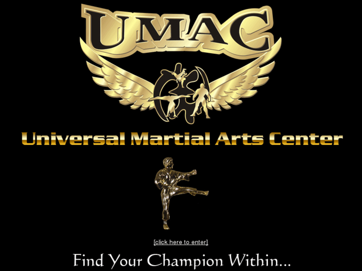 www.universalmartialartscenter.com