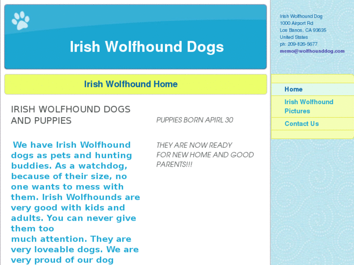 www.wolfhounddog.com