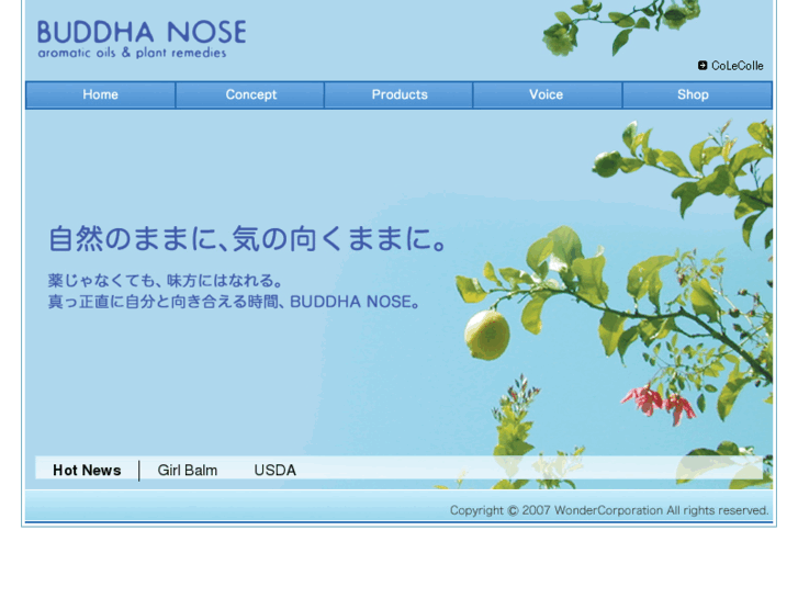 www.buddhanose.jp