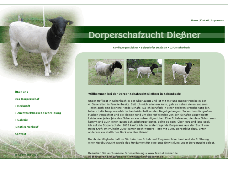 www.dorperschafzucht.com