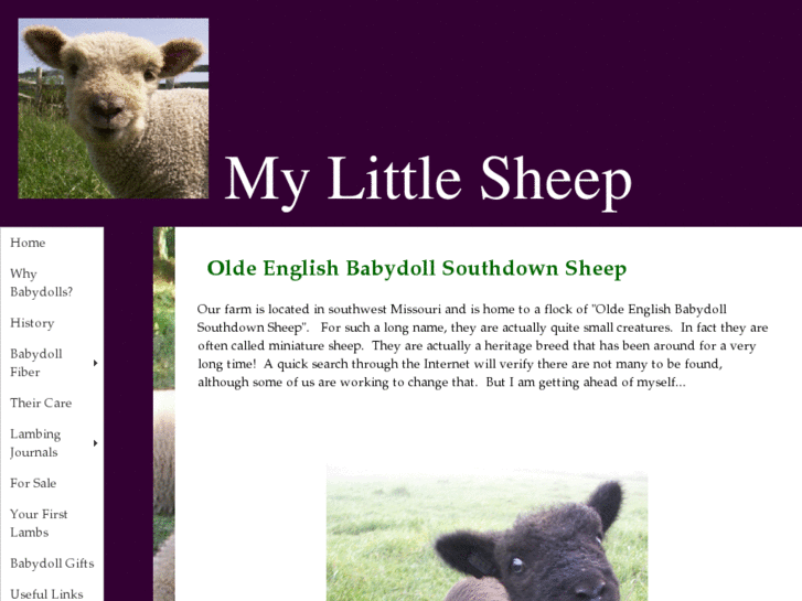 www.mylittlesheep.com