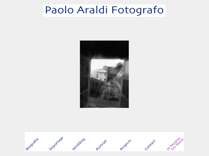 www.paoloaraldi.com