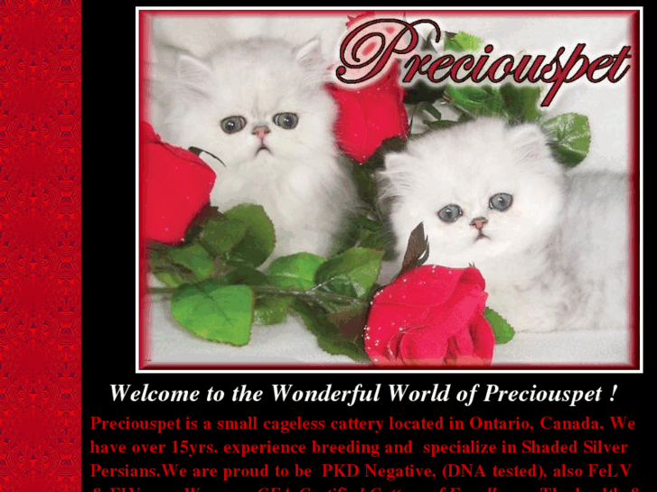 www.preciouspetpersians.com