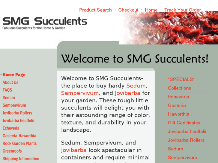 www.smgsucculents.com