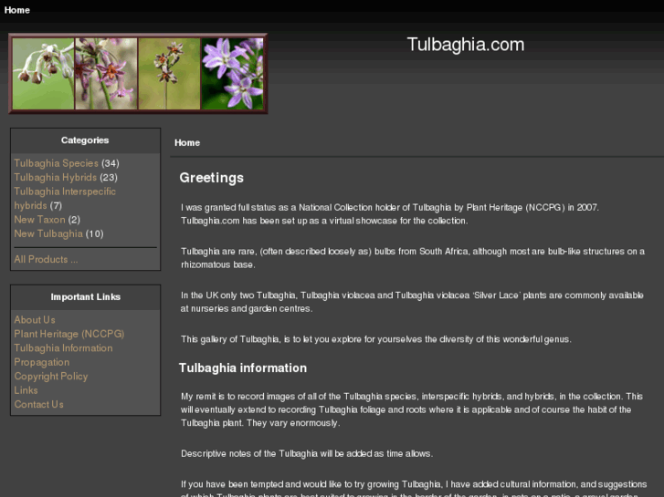 www.tulbaghia.com