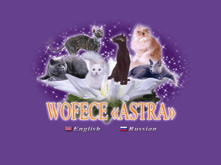 www.astracats.ru