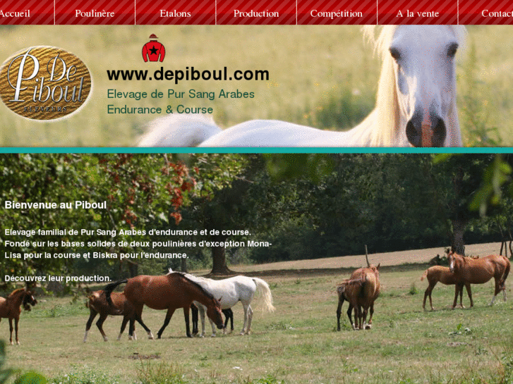 www.depiboul.com