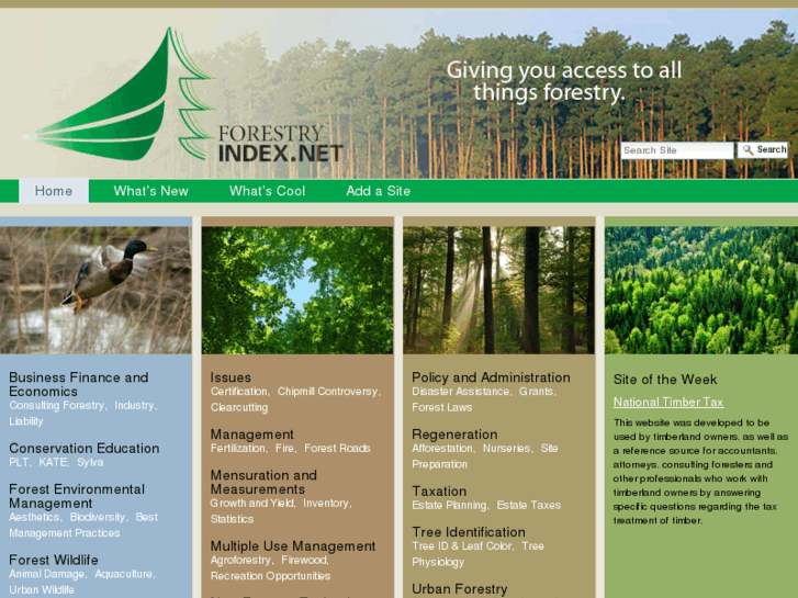 www.forestryindex.net