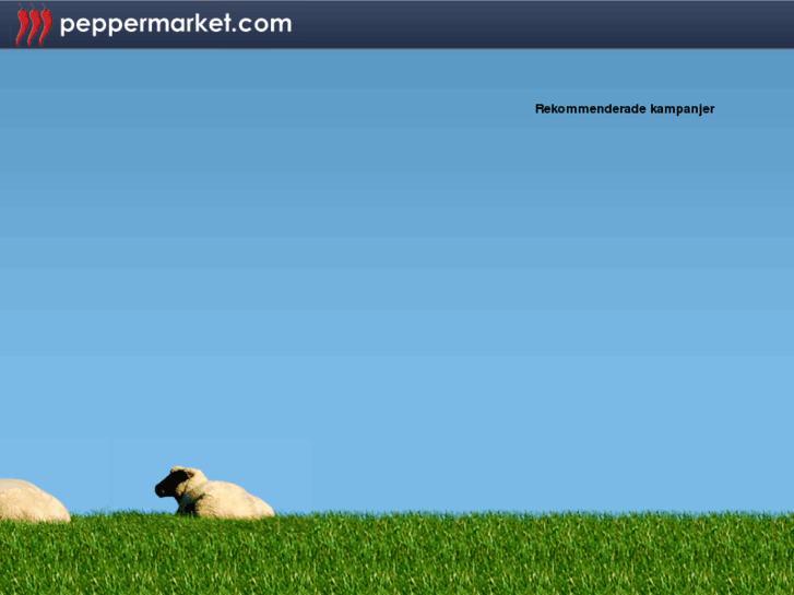 www.peppermarket.com