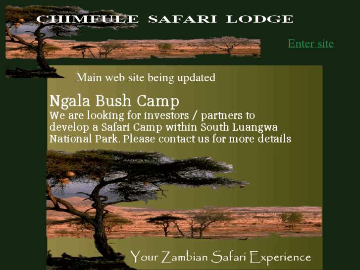 www.zambiasafariexperience.com