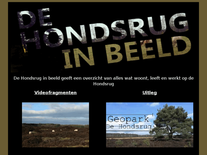 www.dehondsruginbeeld.com