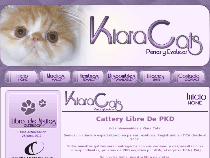 www.kiaracats.com