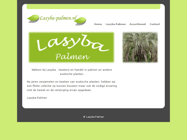 www.lasyba-palmen.nl