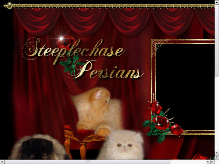 www.steeplechasecattery.com