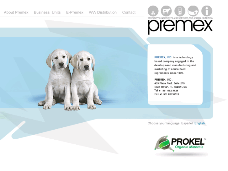 www.aminokel.com