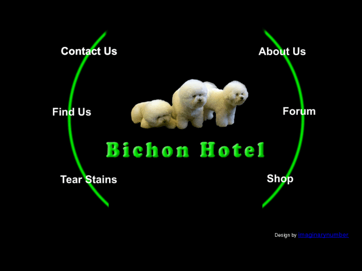 www.bichonhotel.com