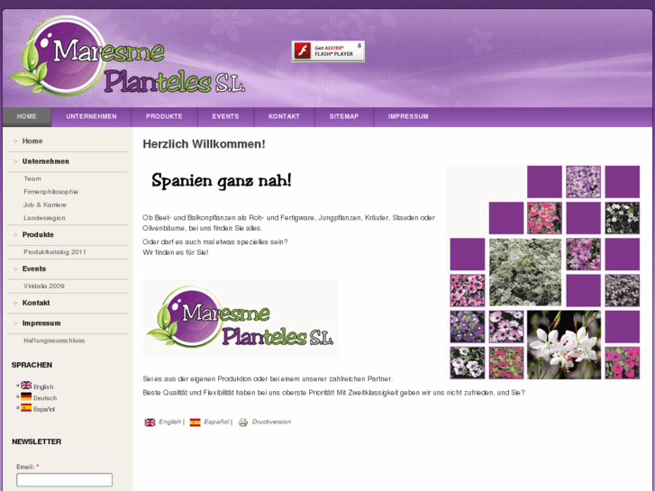 www.maresme-planteles.com